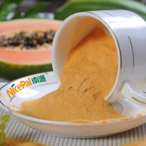 Manufacturer Direct Supply Juice Ingredient Papaya Vegetable Powder